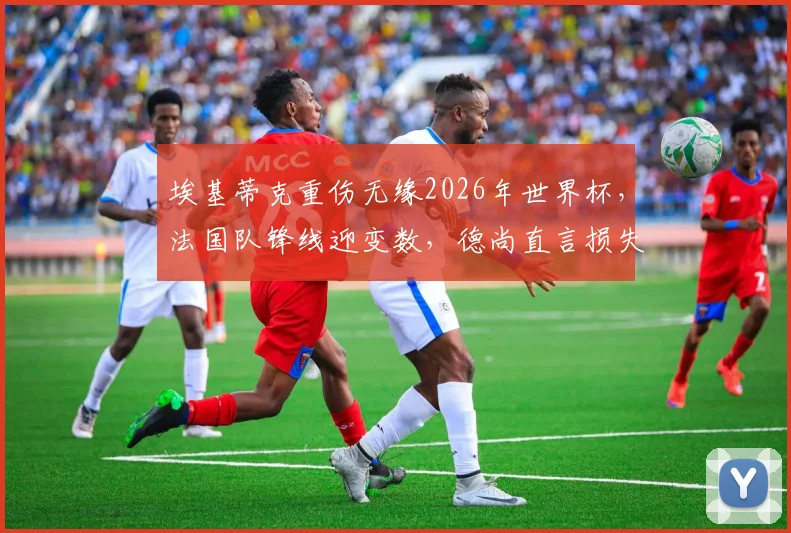 埃基蒂克重伤无缘2026年世界杯，法国队锋线迎变数，德尚直言损失巨大